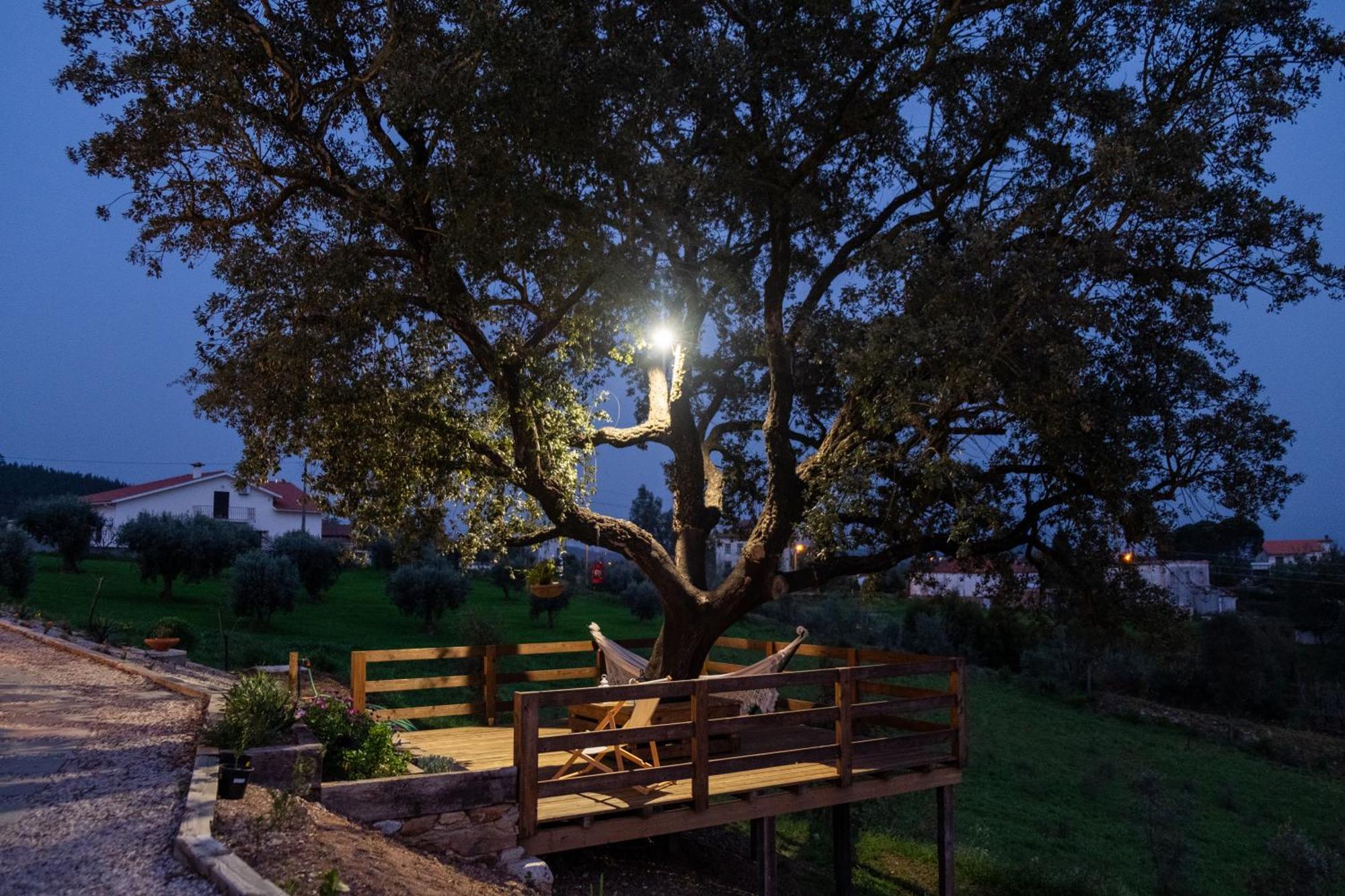 Quinta Do Esteval Holiday home